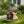 Sitting Corgi Dog Planter Outdoor Decor