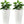Tall Planters Set With Water Level Monitor And Auto Watering