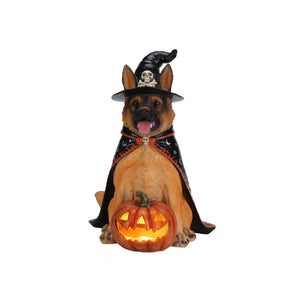 Halloween German Shepherd Dog Statue with LED Pumpkin - Resin