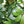 Realistic Faux Tree With Lifelike Foliage For Indoor And Outdoor Use - Green