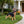 Outdoor German Shepherd Dog Statue Greeter Garden Decor