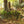 Double Up System - Mossy Oak Obsession 3D Leafy