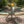 Phoenix 48in Round Table