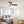 Smart Ceiling Fan With Lights, 3 Blades, Reversible Quiet DC Motor For Indoor