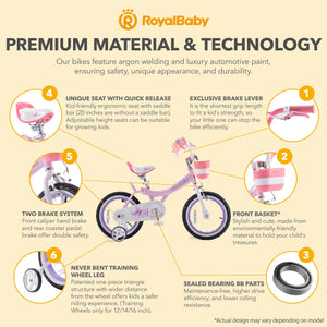 RoyalBaby Princess Girl Kids Bicycle 12" with Training Wheels, Jenny/Light Pink