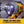 DeWalt ATOMIC 20 Volt MAX Brushless Cordless Drill and Impact Driver Combo Kit - TRAPSKI