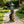 Solar-Powered Bear Welcome Statue