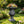 MGO Garden Planter
