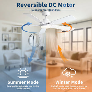 Reversible Motor Integrated LED Dimmable Ceiling Fan With Light
