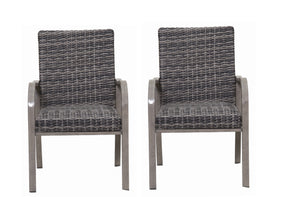 2PC Outdoor Dining Chair with Hand-Painted Frame and Water-Washed Cotton Seat