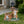 Cute Cat Planter Statue Garden Decor