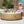 Intex PureSpa 6 Person Bubble Massage Inflatable Hot Tub Spa Set, Sahara Tan