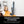 Shark Vertex Corded DuoClean PowerFins Stick Vacuum (Refurbished)