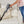 Shark Vertex Ultralight DuoClean PowerFins Corded Vacuum (Certified Refurbished)