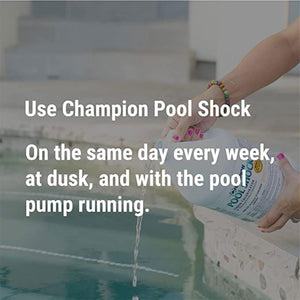 Champion Pool Shock Liquid Chlorinator for Pool Water Disinfection (2 Pack)