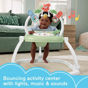 Fisher Price Puppy Perfection Spacesaver Jumperoo Baby Bouncer Activity Center