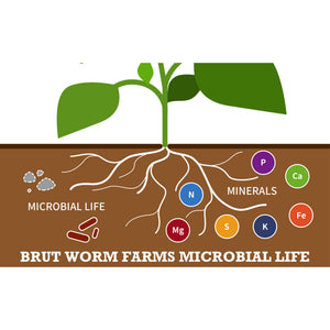 Brut Cow Compost, 4 Pack Composted Cow Manure Organic Soil Amendment, 1 Cu Ft