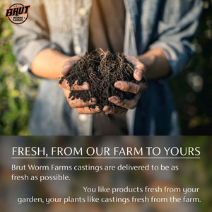 Brut Cow Compost, 4 Pack Composted Cow Manure Organic Soil Amendment, 1 Cu Ft