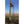 Muddy Boss Hawg 1.5 Deer Hunting 17 Foot Ladderstand Tree Stand w/Lumbar Seat