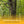 Hawk Traction Climbing Stick, 20' Tree Climbing Ladder Hunting Gear, Extra Grip