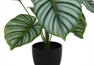 24" Tall Artificial Calathea Plant
