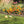 Suncast Plastic Border Stone Edging for Enclosing Flower Beds or Garden, Brown