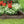Suncast Plastic Border Stone Edging for Enclosing Flower Beds or Garden, Brown