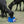 Farm Innovators 60 Watt Premium Plastic Heated Pet Dog and Cat Water Bowl, Blue - TRAPSKI
