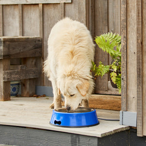 Farm Innovators 5.5 Quart Heated Pet Water Bowl w/Stainless Steel Insert, Blue