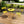 Bistro Table and Chairs Set of 2