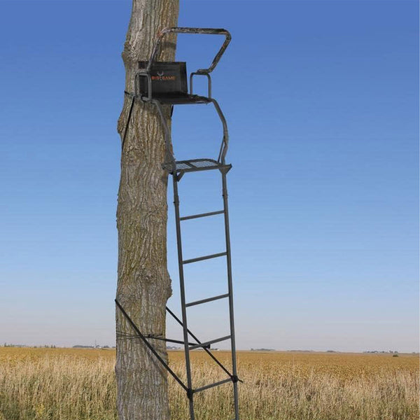 Big Game Warrior DXT 17' Portable Hunting Outside Tree Stand Ladder (2 Pack)