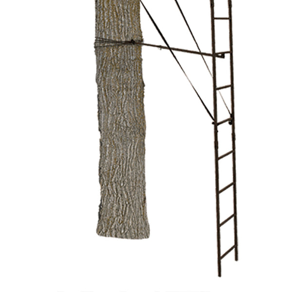 Big Game Warrior DXT 17' Portable Hunting Outside Tree Stand Ladder (2 Pack)