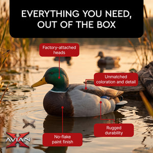 Avian X AXP Full Body Mallards Decoy, Ultra Realistic and Wind Activated, 6 Pack