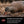 Avian X AXP Full Body Mallards Decoy, Ultra Realistic and Wind Activated, 6 Pack