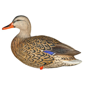 Avian X AXP Full Body Mallards Decoy, Ultra Realistic and Wind Activated, 6 Pack
