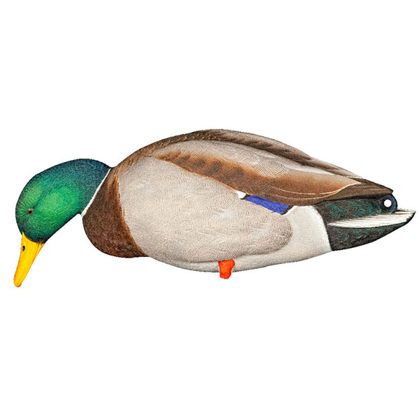 Avian X AXP Full Body Mallards Decoy, Ultra Realistic and Wind Activated, 6 Pack