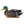 Avian X Topflight Early Season Mallard Duck Realistic Decoys, Multicolor, 6 Pack