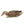 Avian X Topflight Early Season Mallard Duck Realistic Decoys, Multicolor, 6 Pack