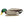 Avian X Topflight Backwater Mallards Decoys, Ultra Realistic Floating, 6 Pack