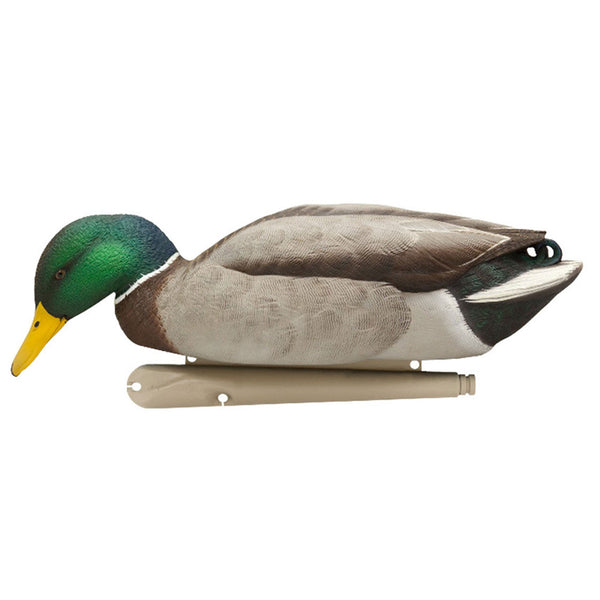 Avian X Topflight Backwater Mallards Decoys, Ultra Realistic Floating, 6 Pack