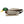 Avian X Topflight Backwater Mallards Decoys, Ultra Realistic Floating, 6 Pack