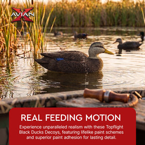 Avian X Topflight Black Ducks Decoys with Flocked Bodies, Realistic Paint Scheme