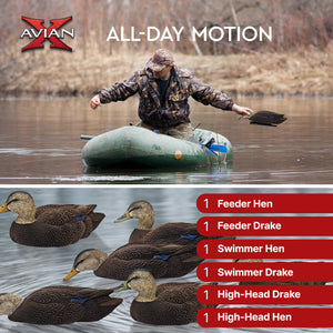 Avian X Topflight Black Ducks Decoys with Flocked Bodies, Realistic Paint Scheme