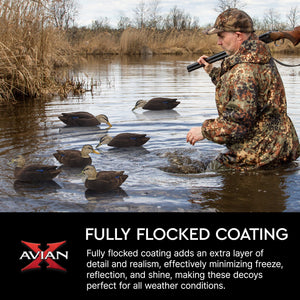 Avian X Topflight Black Ducks Decoys with Flocked Bodies, Realistic Paint Scheme