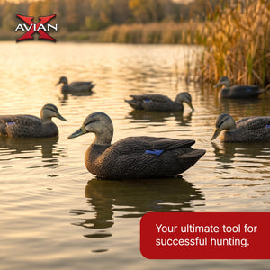 Avian X Topflight Black Ducks Decoys with Flocked Bodies, Realistic Paint Scheme