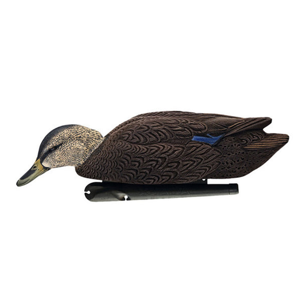 Avian X Topflight Black Ducks Decoys with Flocked Bodies, Realistic Paint Scheme