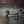 Avian X Topflight Realistic Floating Rugged Fusion Mallard Decoy Set, 6 Pack