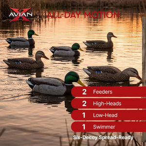 Avian X Topflight Realistic Floating Rugged Fusion Mallard Decoy Set, 6 Pack