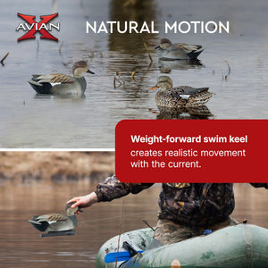 Avian X Topflight Gadwall Decoys Realistic Gray Ducks, Set of 6, Multicolor