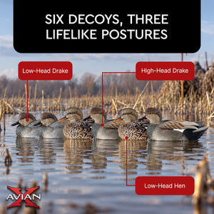 Avian X Topflight Gadwall Decoys Realistic Gray Ducks, Set of 6, Multicolor
